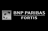 bnp-fortis